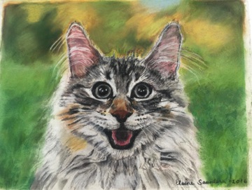 Smiling -cat -portrait 9x12
Original $250